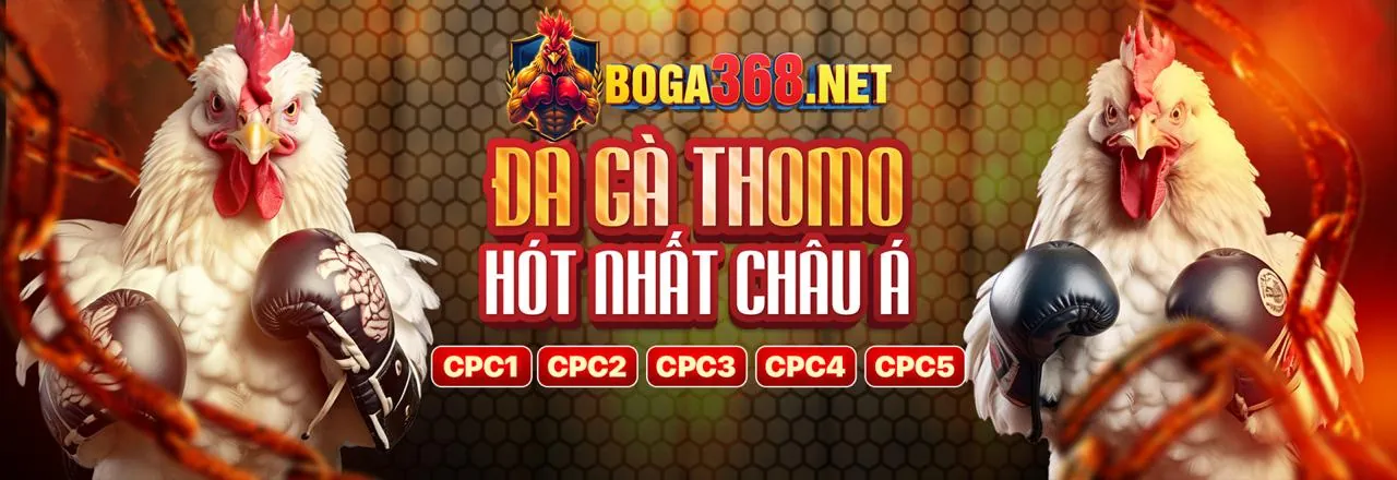 Đá gà trực tuyến i88 trang chủ chính thức