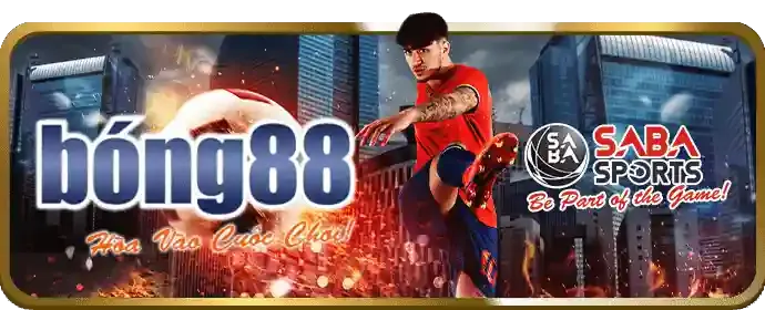 Cập nhật kết quả thể thao